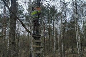 Синичкам Цуманської пущі вручили ключі від 50 новеньких квартир (Фото)