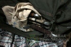 Чотири мечі намагалися перевезти до Польщі зеленим коридором (Фото)