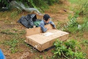 8-річний хлопчик жив на старих матрацах просто неба і грався коробкам
