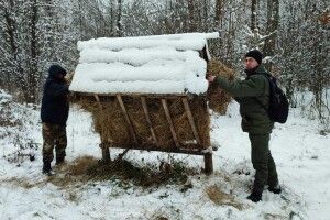 Звірині Цуманської пущі побажали смачного (Фото)
