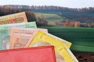 Волинські прокурори домоглися повернення державі земельної ділянки зі ставком вартістю 4 млн. грн