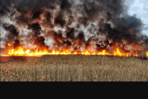 На Волині закликали громадян не ставати поплічниками путіна