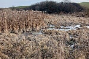 На Волині перевіряють масштабне забруднення земельних ділянок