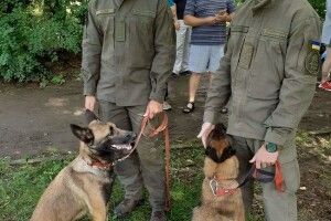 У Львові нагородили собак, які служили разом із господарями на Донбасі