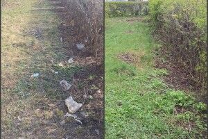 У Луцьку привели до ладу засмічений сквер