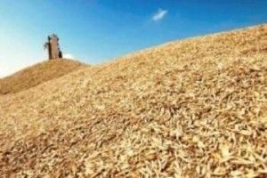 В Африці додасться українського борошна