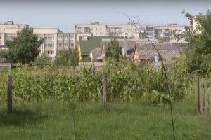 У місті на Волині люди не можуть приватизувати ділянки, де роками обробляють городи