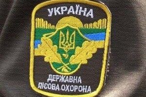 У Ківерцівському районі порушник оперативно сплатив 8 тисяч за самовільну рубку