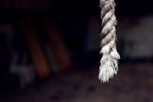 Спускалися по мотузці й стрибали з вікон: українці в Польщі попалися на порушенні карантину
