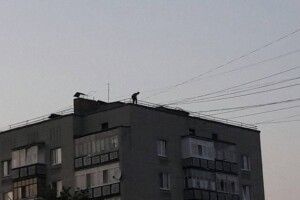 Небезпечні забави призвели до каліцтва