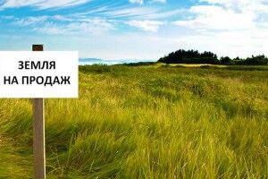 У Верховній Раді назвали мінімальну ціну для продажу землі