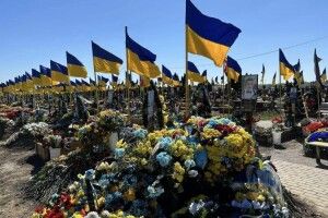 Помилки не стають шляхом до перемог 