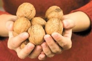 В Україні відкриють завод з переробки горіха