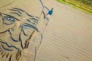 Трактор+плуг+уява