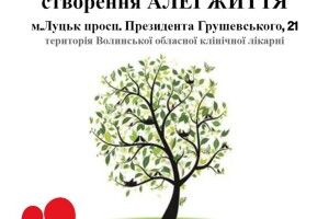І в Луцьку буде своя «Алея життя»