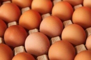 Ціни на яйця: урядовці уклали меморандум із виробниками