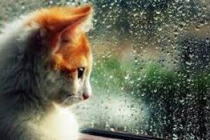 «Одягатися треба тепліше»: відомий синоптик попередила українців про похолодання