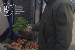У Луцьку екоінспектори «накрили» продавця червонокнижної черемші