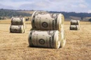 Україна втратила через корупцію у земельній сфері понад 450 млн гривень
