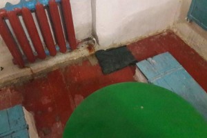 У виправному центрі на Рівненщині нелюдське поводження із засудженими