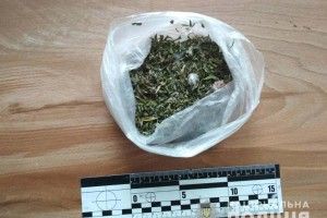 Шість жителів Рівненщини попалися на зберіганні зброї та наркотиків