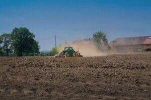 Депутат сільради на Волині проголосував за виділення собі землі на шість мільйонів гривень