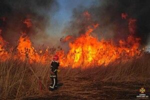 Німеччина допомогла Україні з обладнанням для гасіння пожеж у Чорнобильській зоні