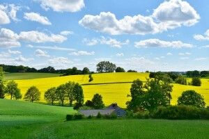 Дощі посунуть на схід країни, а на заході – сонячно