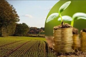 До місцевих бюджетів Волині сплачено на 14% більше плати за землю