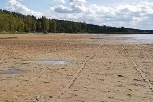 Світязь так обмілів, бо з нього брали воду на полив 150 гектарів лохини?