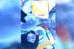 «Недитячий» кіндер-сюрприз та чай із наркотичним зіллям (Відео)