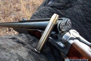 У Любешові поліція перевіряє факт незаконного полювання
