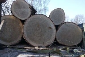 На Волині затримали дві вантажівки, завантажені підозрілим лісом