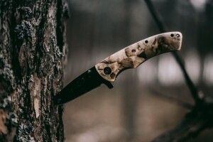 Поліція розкрила звіряче вбивство, скоєне три роки тому