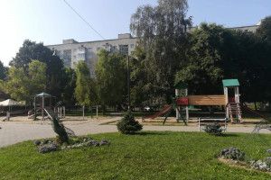 Лучани просять відремонтувати дитячий майданчик на «Мадагаскарі»
