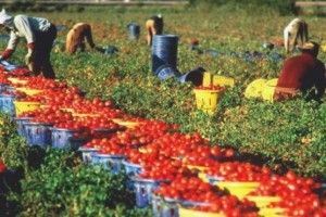 Українські заробітчани переказали додому більше 8 мільярдів доларів
