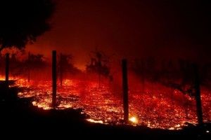 Трамп назвав винних у лісових пожежах у Каліфорнії