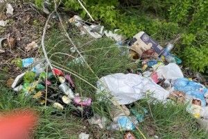Екоінспектори виявили стихійне звалище відходів у Луцькій громаді