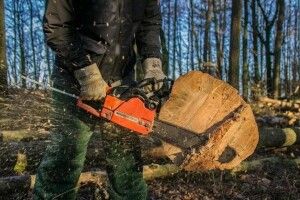 У лісництві на Волині під час вирубки дерев загинув чоловік