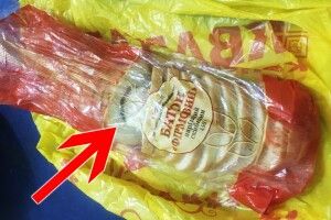 Службовий пес знайшов у пункті пропуску «запашний» батон (Фото, відео)