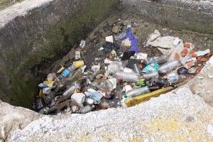 Біля Волинської обласної ради не прибирають сміття (Фото)