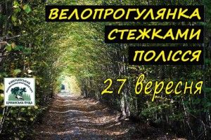 Шукають охочих крутити педалі стежками Цуманської пущі