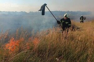 На Волині загорілося пшеничне поле з вини комбайнера