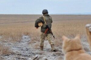 Сьогодні на Донбасі зберігається тиша