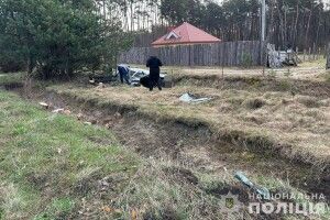 ДТП на Волині: через пробите колесо перекинулася автівка