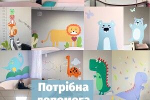 Волинські волонтери шукають художника