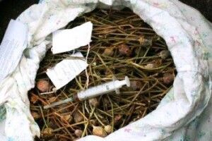У маневиччанина знайшли півтора кілограми макової соломки