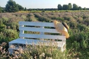 Спека і грози: волинські синоптики дали свіжий прогноз погоди