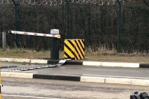 За знущання над твариною відсторонили від роботи двох волинських прикордонників