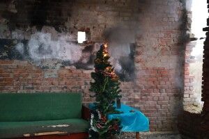Навіщо волинські рятувальники спалили ялинку